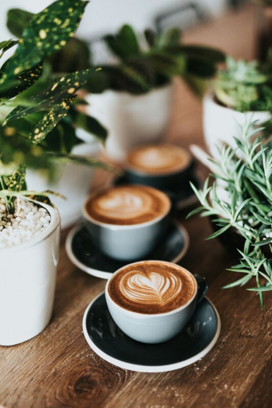 Brand ambassador | Rewards Program